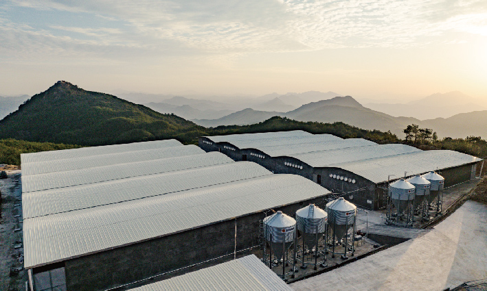 增鑫科技賦能智能豬場建設，開(kāi)啓養豬新時代